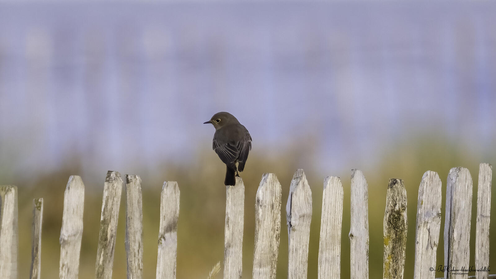 Click image for larger version

Name:	searching .jpg
Views:	98
Size:	135.6 KB
ID:	903506