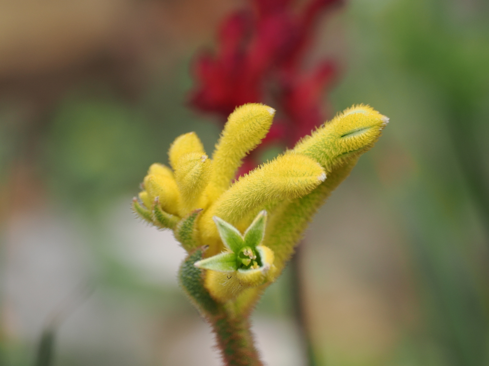 Click image for larger version  Name:	JC199726-ms.jpg Views:	0 Size:	550.8 KB ID:	905738