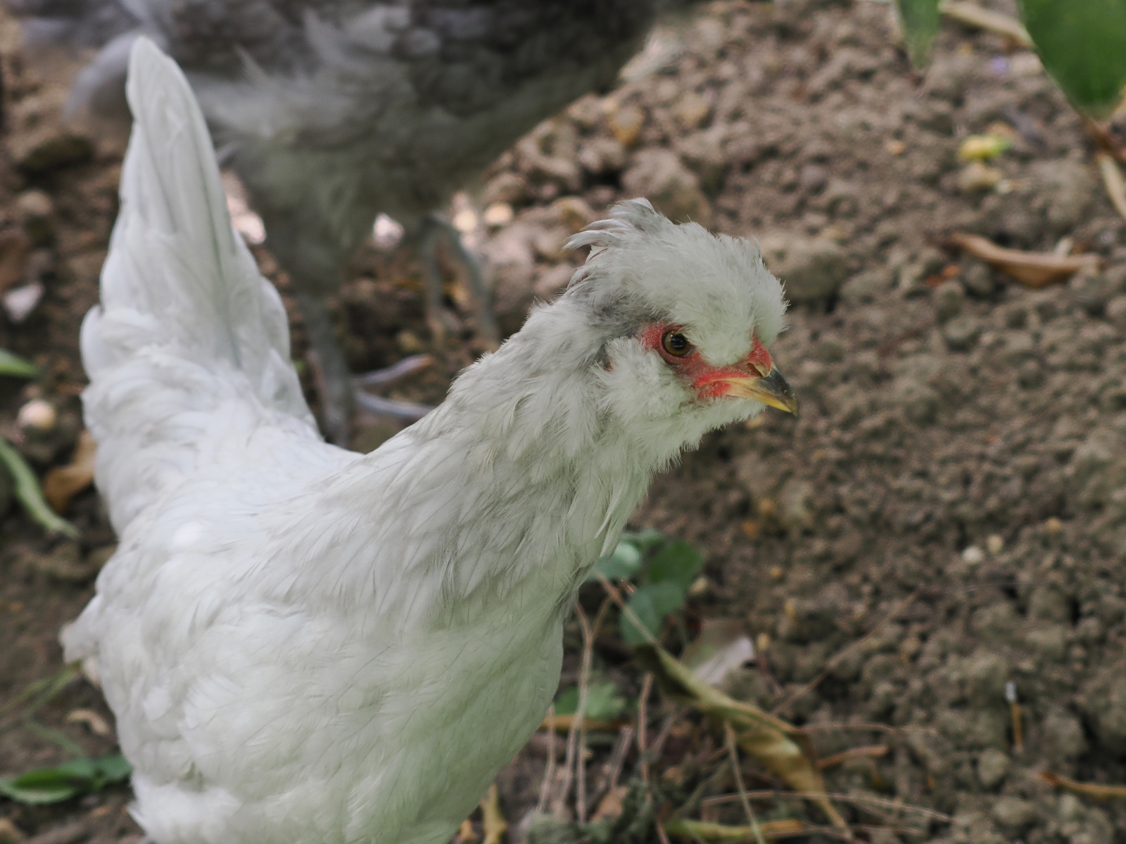 Click image for larger version  Name:	JC199733-ms.jpg Views:	0 Size:	727.3 KB ID:	905739