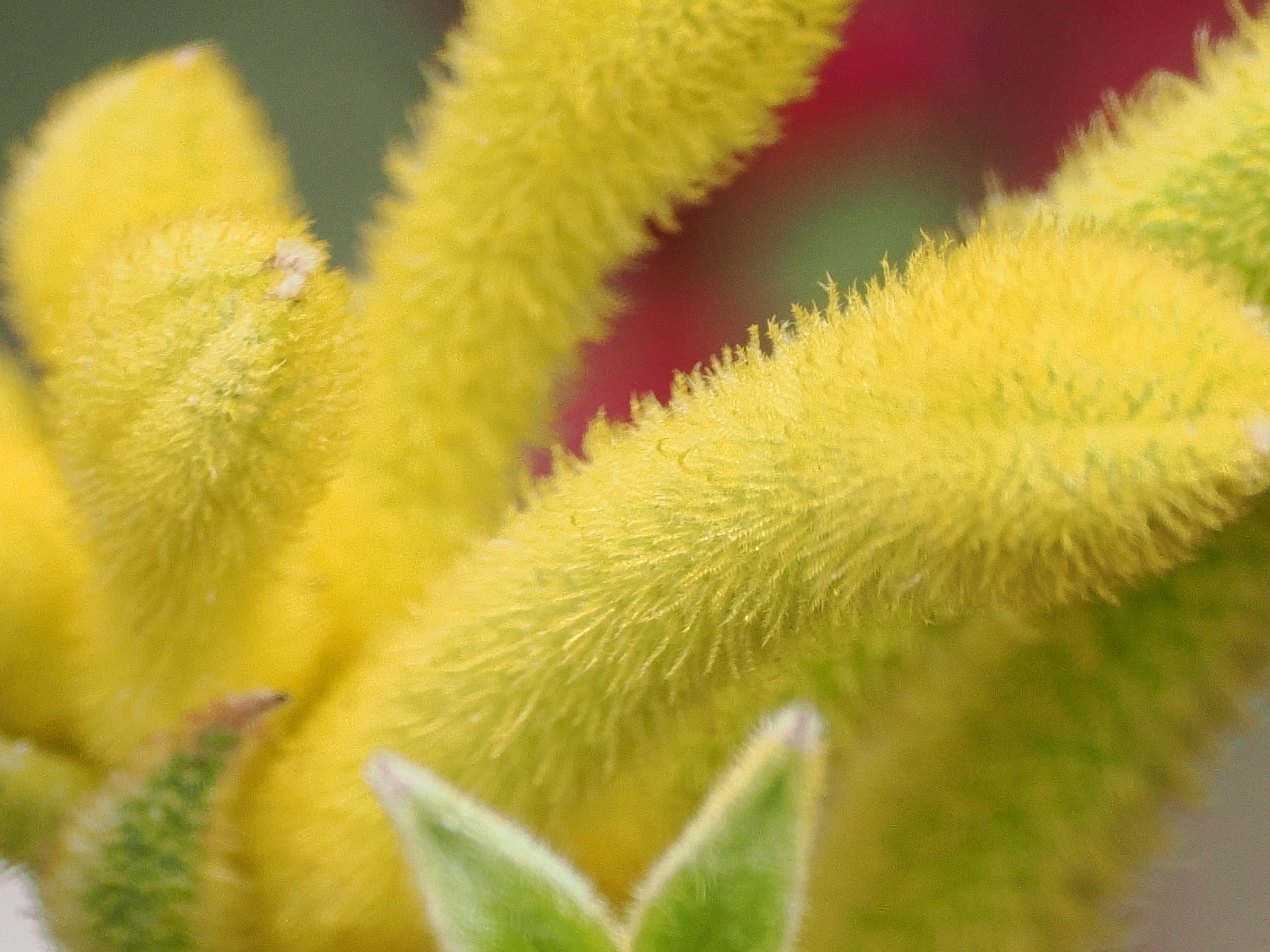 Click image for larger version  Name:	JC199726-scr.jpg Views:	0 Size:	971.0 KB ID:	905740