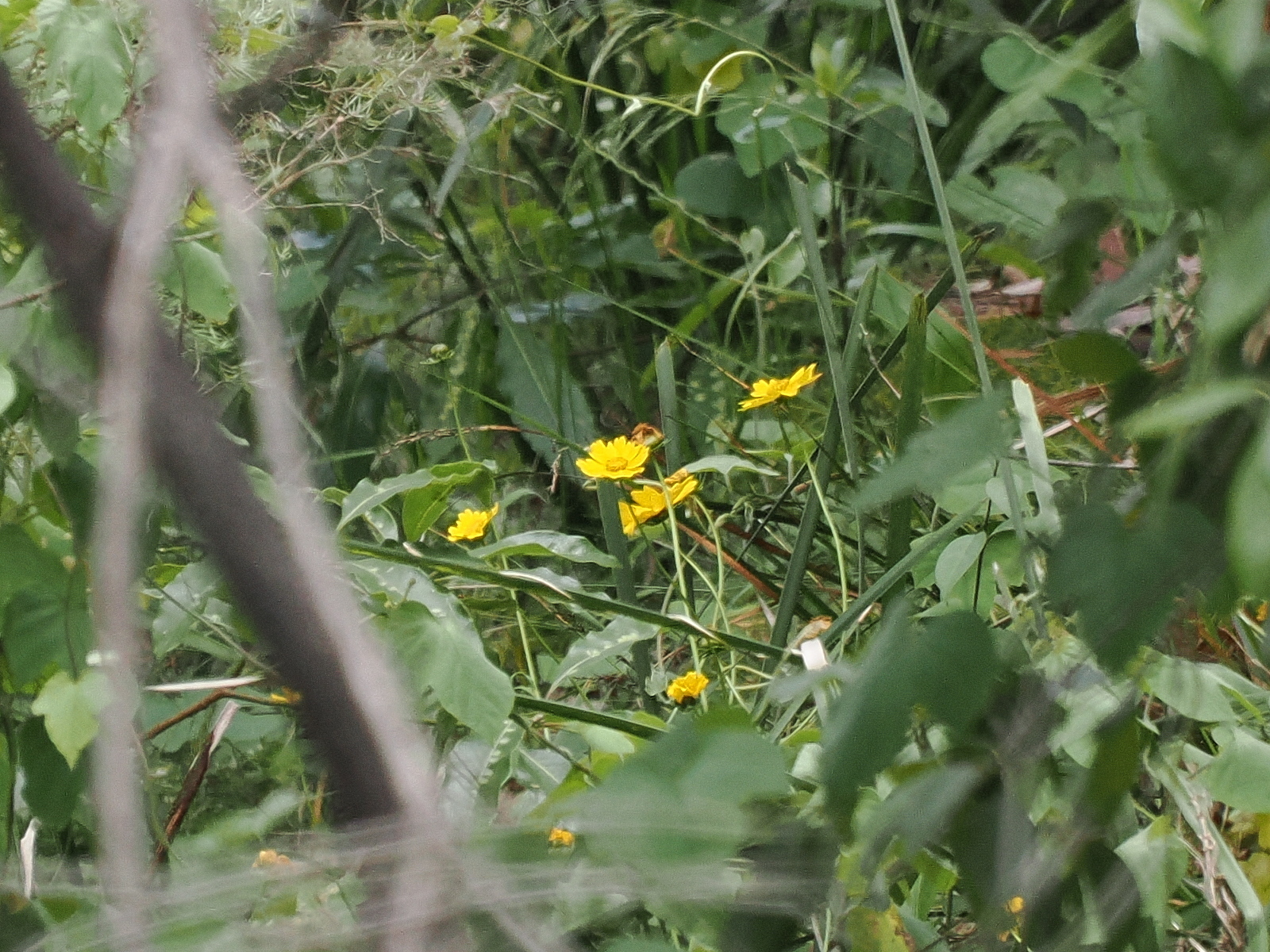 Click image for larger version  Name:	JC199854-scr.jpg Views:	0 Size:	1.12 MB ID:	905742