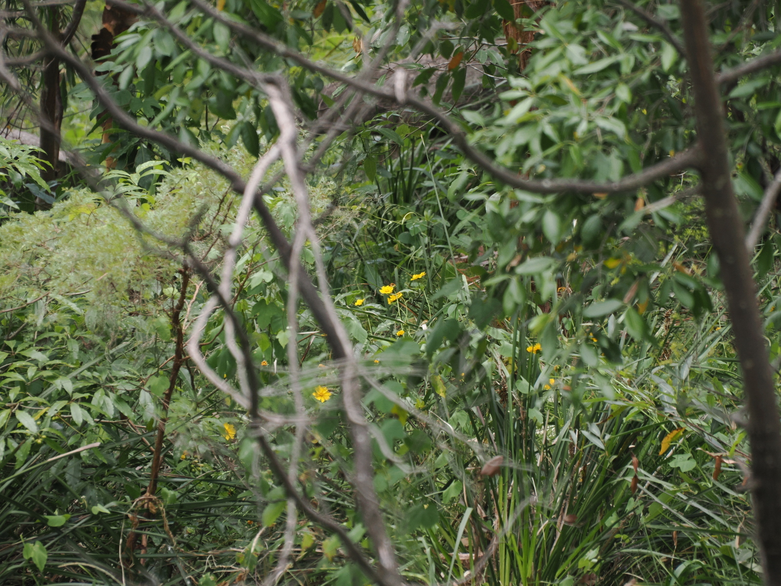 Click image for larger version  Name:	JC199854-ms.jpg Views:	0 Size:	1.11 MB ID:	905743