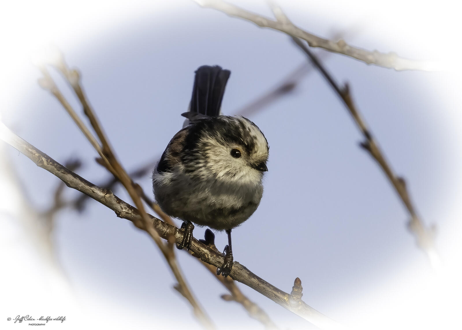 Click image for larger version

Name:	angel eyes .jpg
Views:	683
Size:	137.0 KB
ID:	905954