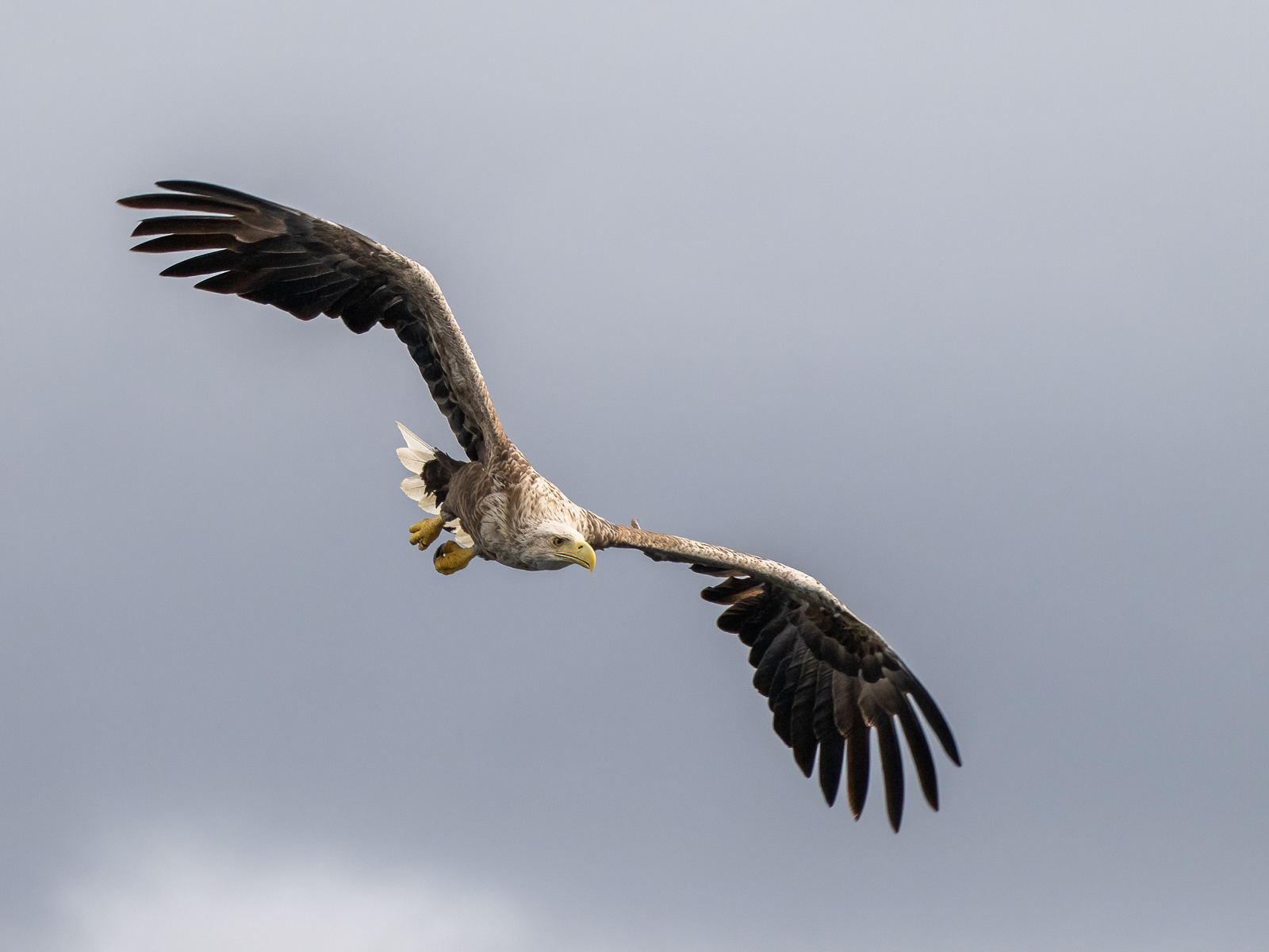 Click image for larger version

Name:	P7050477-Redigera.jpg
Views:	184
Size:	991.4 KB
ID:	906223