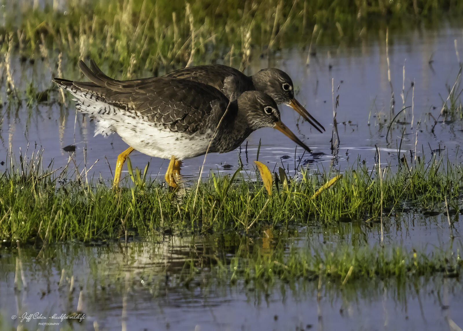 Click image for larger version  Name:	coupling .jpg Views:	0 Size:	346.3 KB ID:	906461