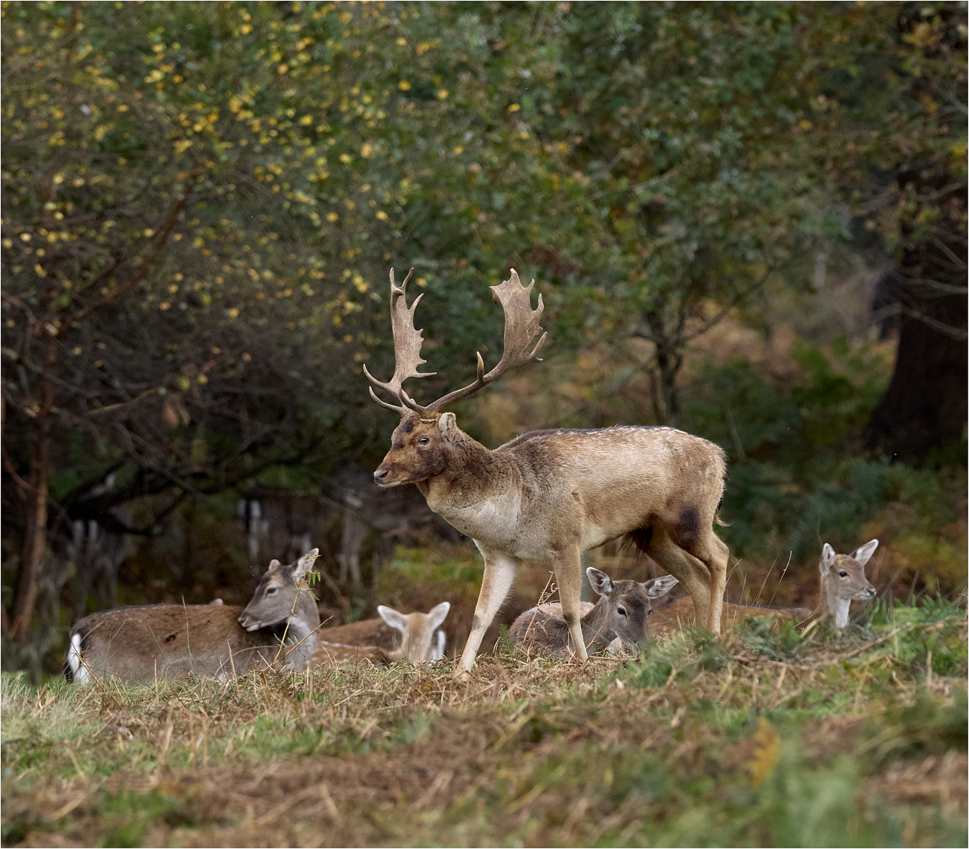 Click image for larger version

Name:	_A314697.jpg
Views:	405
Size:	1.09 MB
ID:	907717