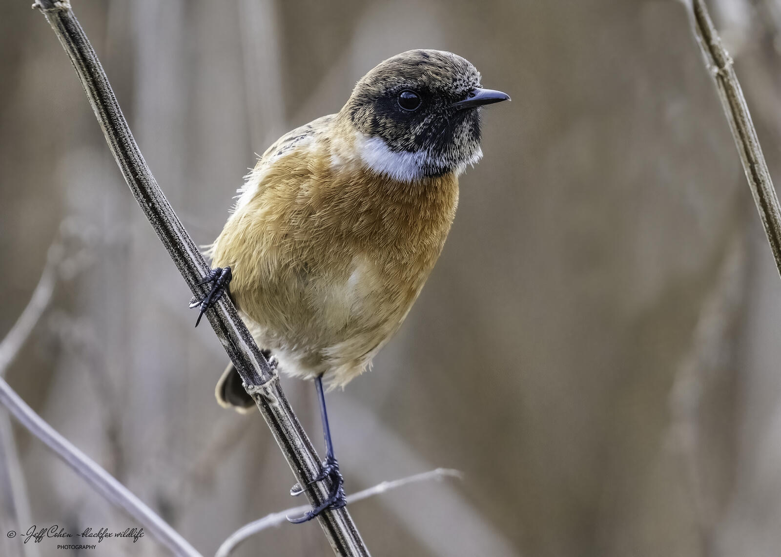 Click image for larger version  Name:	hang about .jpg Views:	0 Size:	186.5 KB ID:	907814