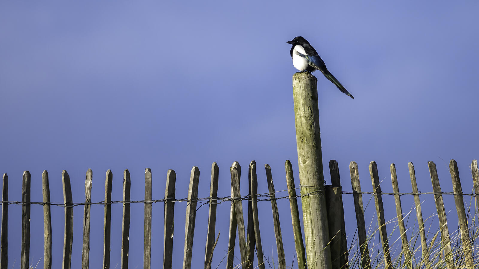 Click image for larger version

Name:	keep me posted .jpg
Views:	427
Size:	172.8 KB
ID:	909617