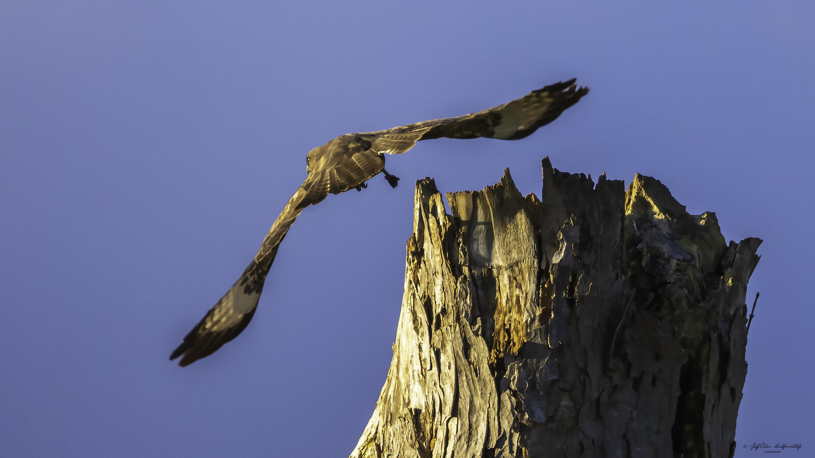 Click image for larger version

Name:	gone with the wind .jpg
Views:	66
Size:	145.0 KB
ID:	909729