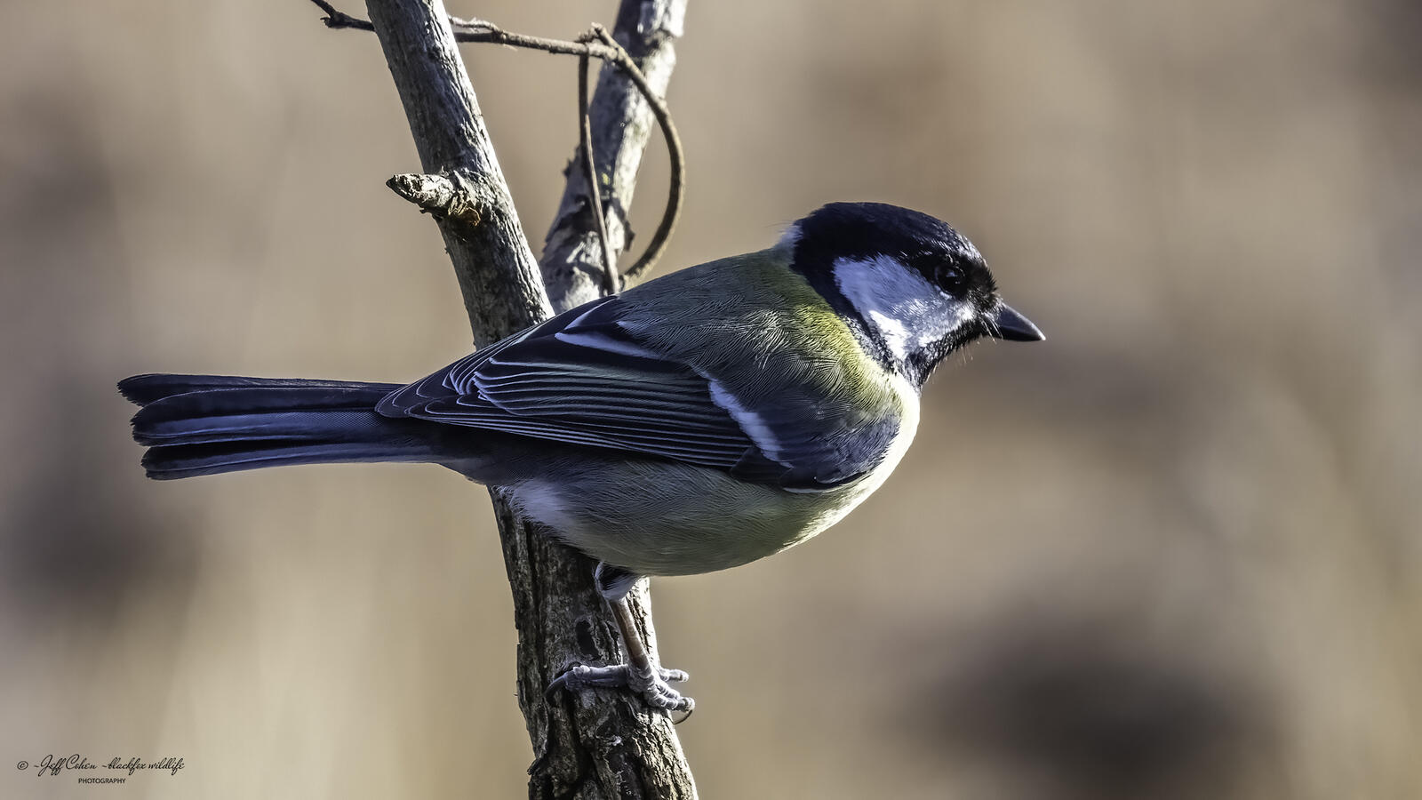 Click image for larger version

Name:	great .jpg
Views:	83
Size:	141.8 KB
ID:	912588