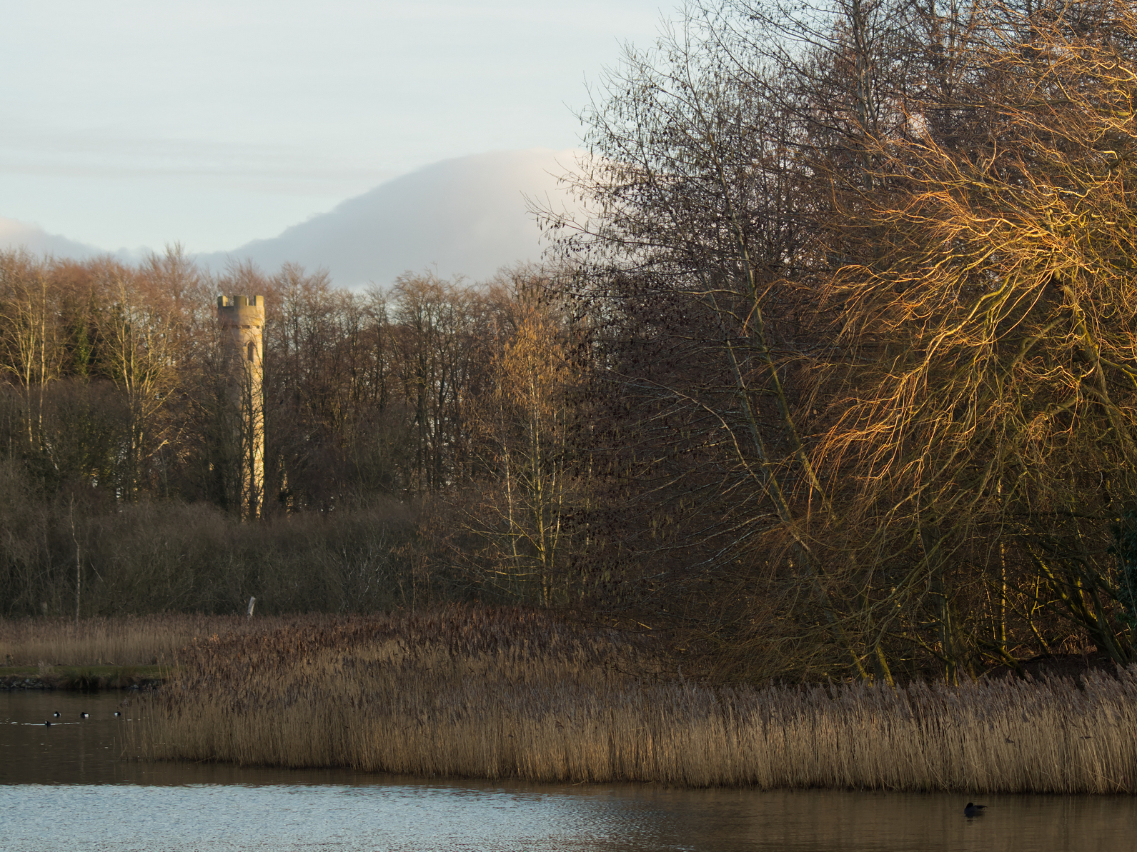 Click image for larger version

Name:	Rapunzels Tower.jpg
Views:	255
Size:	2.68 MB
ID:	912811