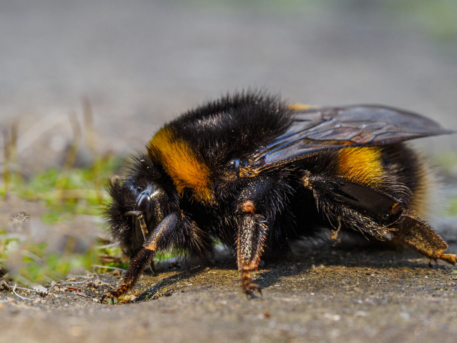 Click image for larger version

Name:	P2170403.jpg
Views:	489
Size:	259.7 KB
ID:	914011