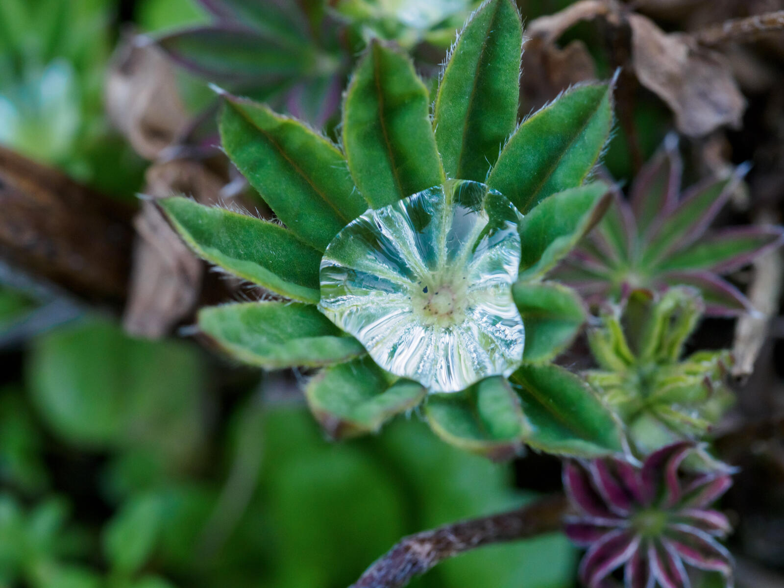 Click image for larger version

Name:	P2220484.jpg
Views:	582
Size:	199.4 KB
ID:	914806