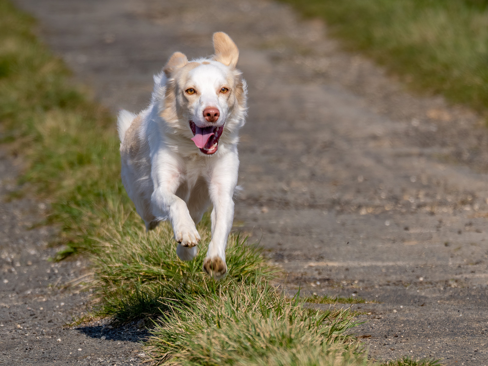 Click image for larger version

Name:	P3010229-Edit.jpg
Views:	57
Size:	682.9 KB
ID:	916022