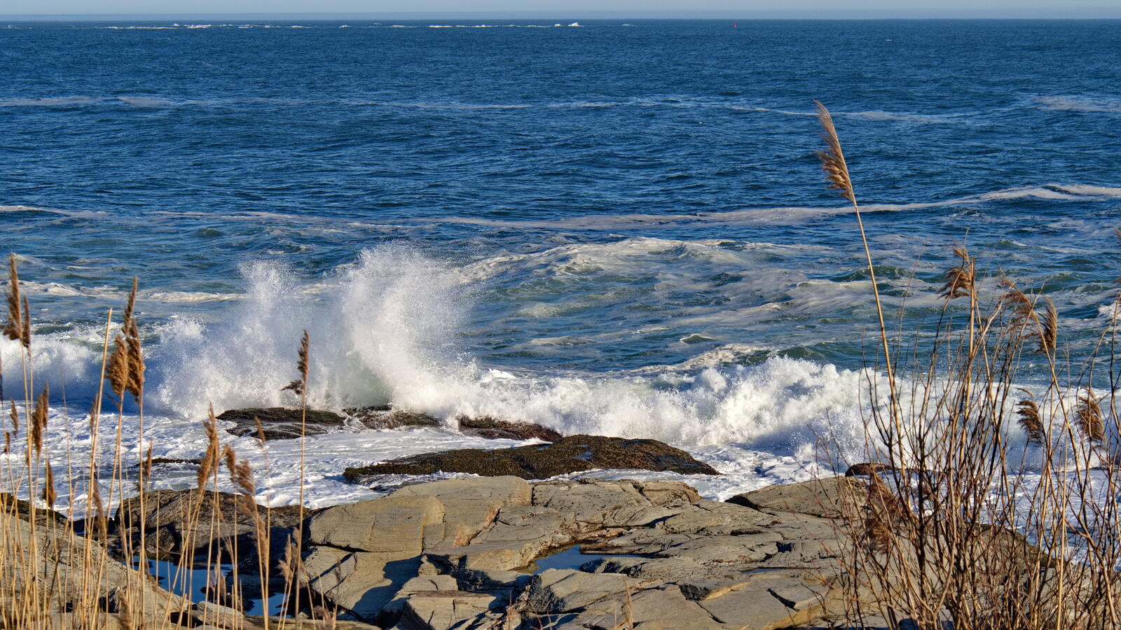 Click image for larger version

Name:	P2100123-2_resize.jpg
Views:	93
Size:	363.0 KB
ID:	917800