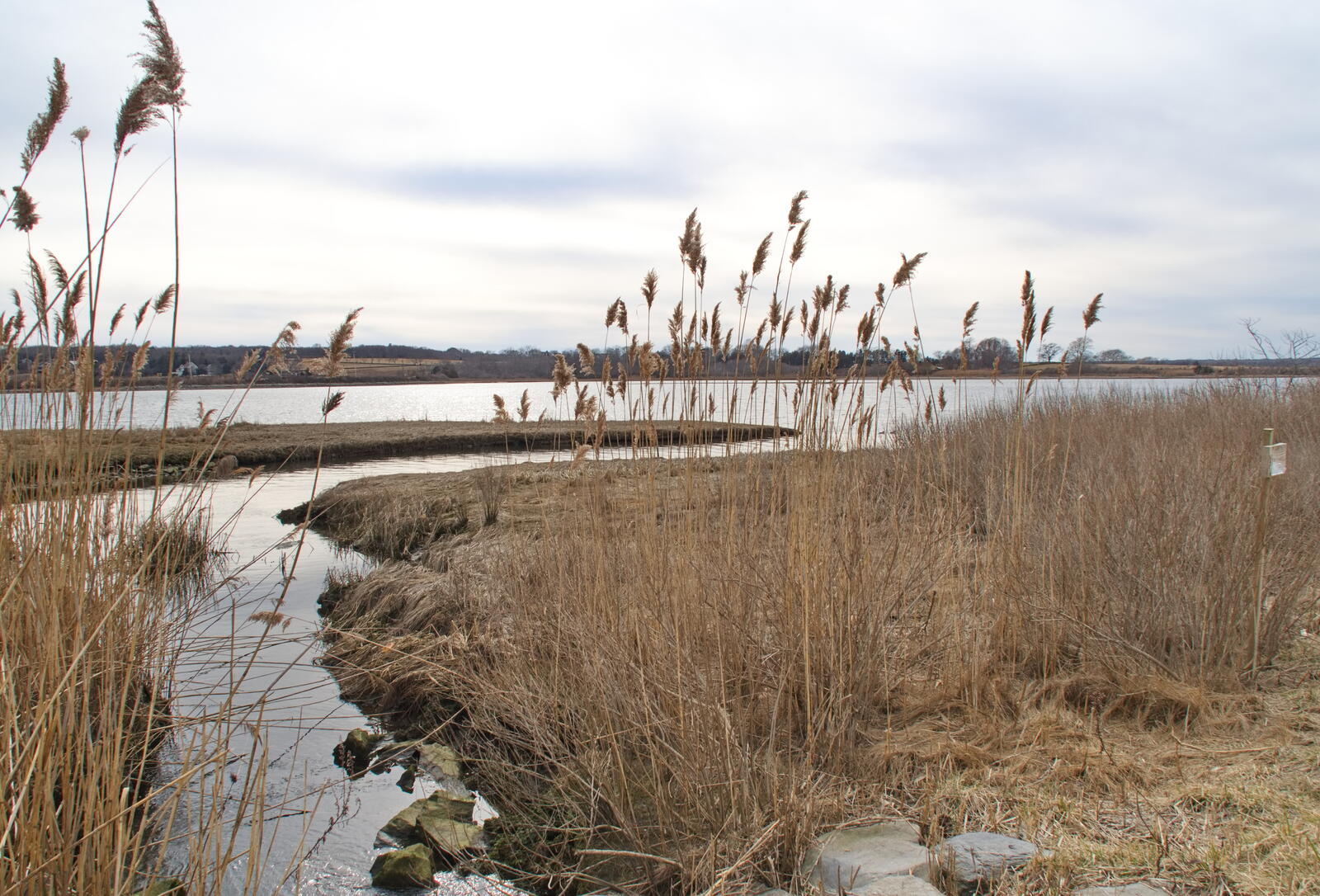 Click image for larger version

Name:	SB030186A.jpg
Views:	100
Size:	318.8 KB
ID:	917801