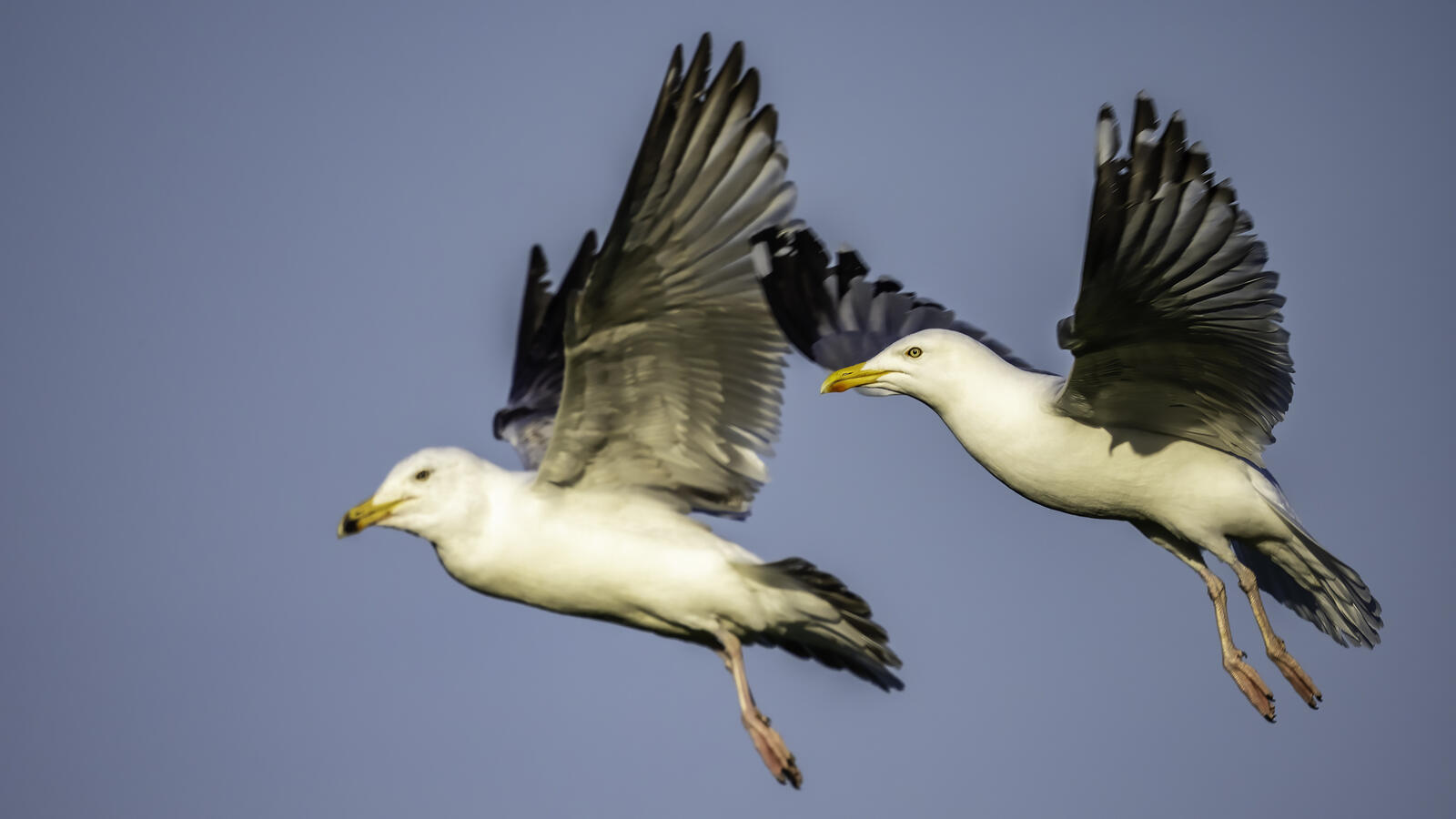 Click image for larger version

Name:	target practice .jpg
Views:	108
Size:	96.0 KB
ID:	920583