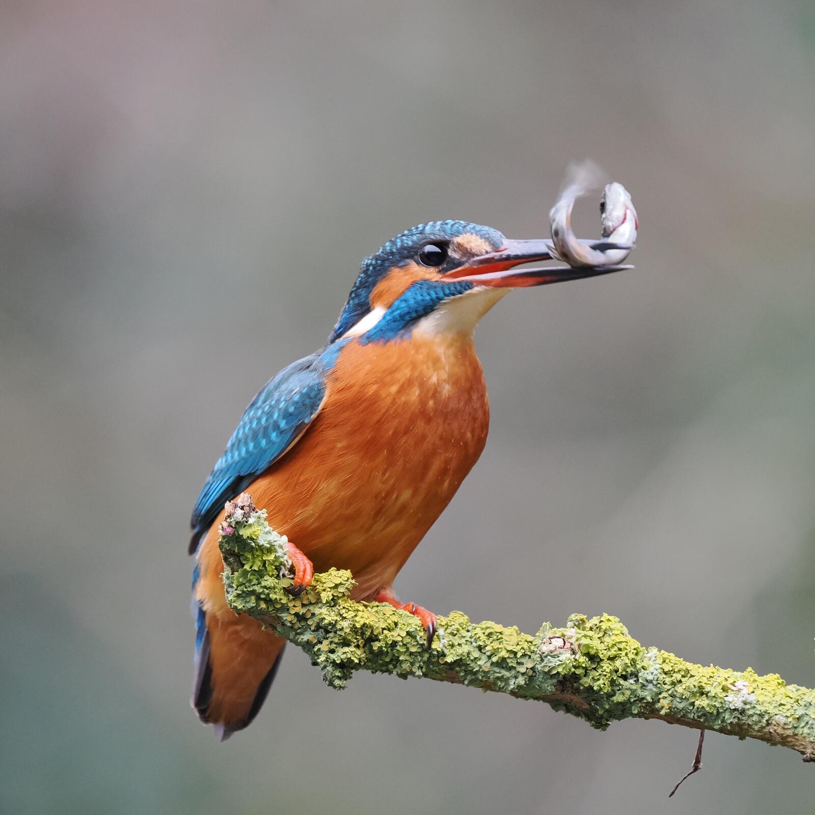 Click image for larger version

Name:	image.jpg
Views:	404
Size:	166.8 KB
ID:	920895