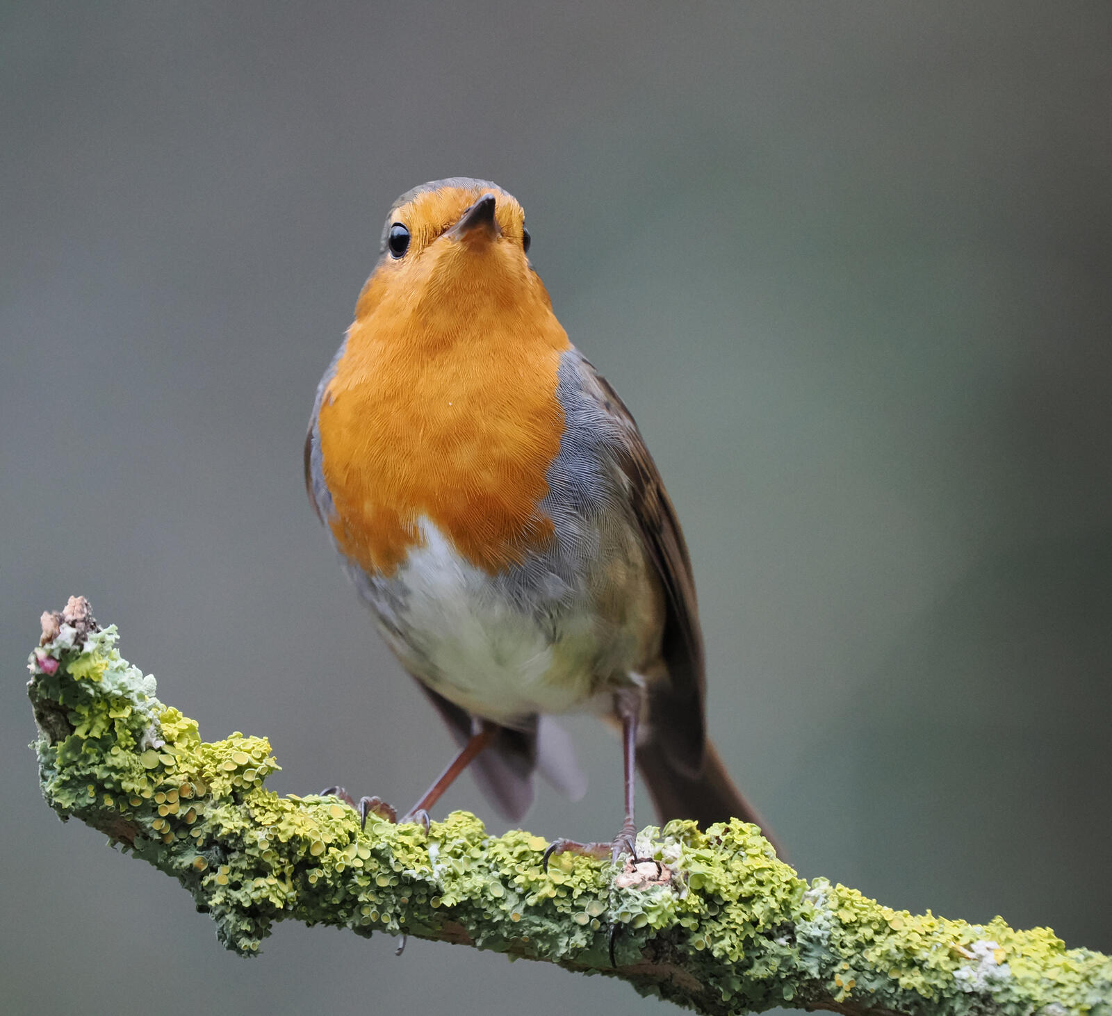 Click image for larger version

Name:	image.jpg
Views:	449
Size:	252.0 KB
ID:	921696