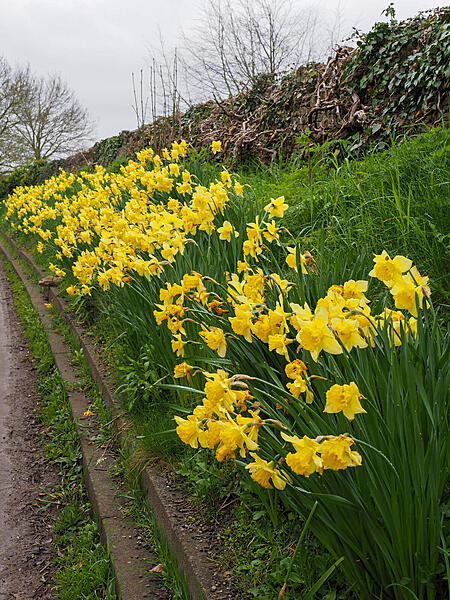 Click image for larger version  Name:	PSX_20230417_184724.jpg Views:	0 Size:	562.2 KB ID:	923115