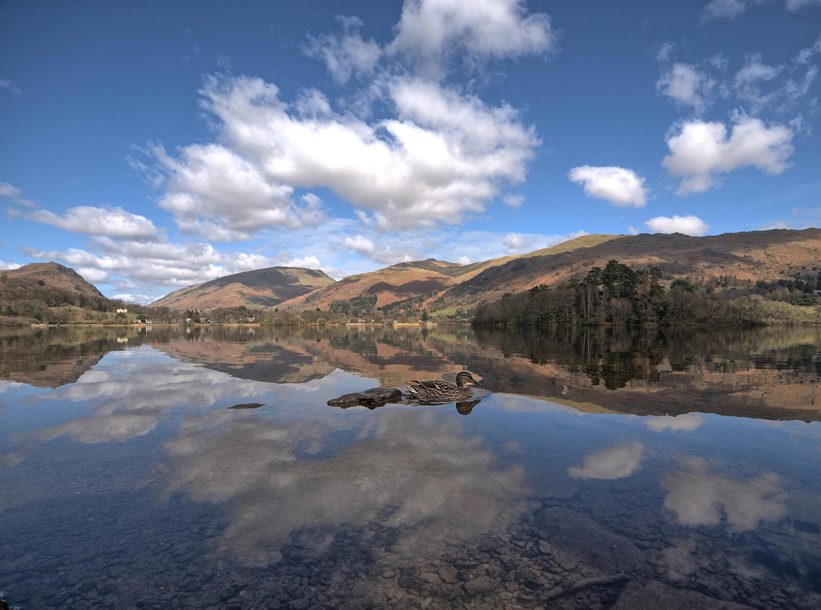 Click image for larger version

Name:	image.jpg
Views:	337
Size:	250.1 KB
ID:	923716