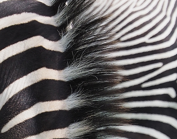 Click image for larger version

Name:	image.jpg
Views:	298
Size:	377.1 KB
ID:	923751