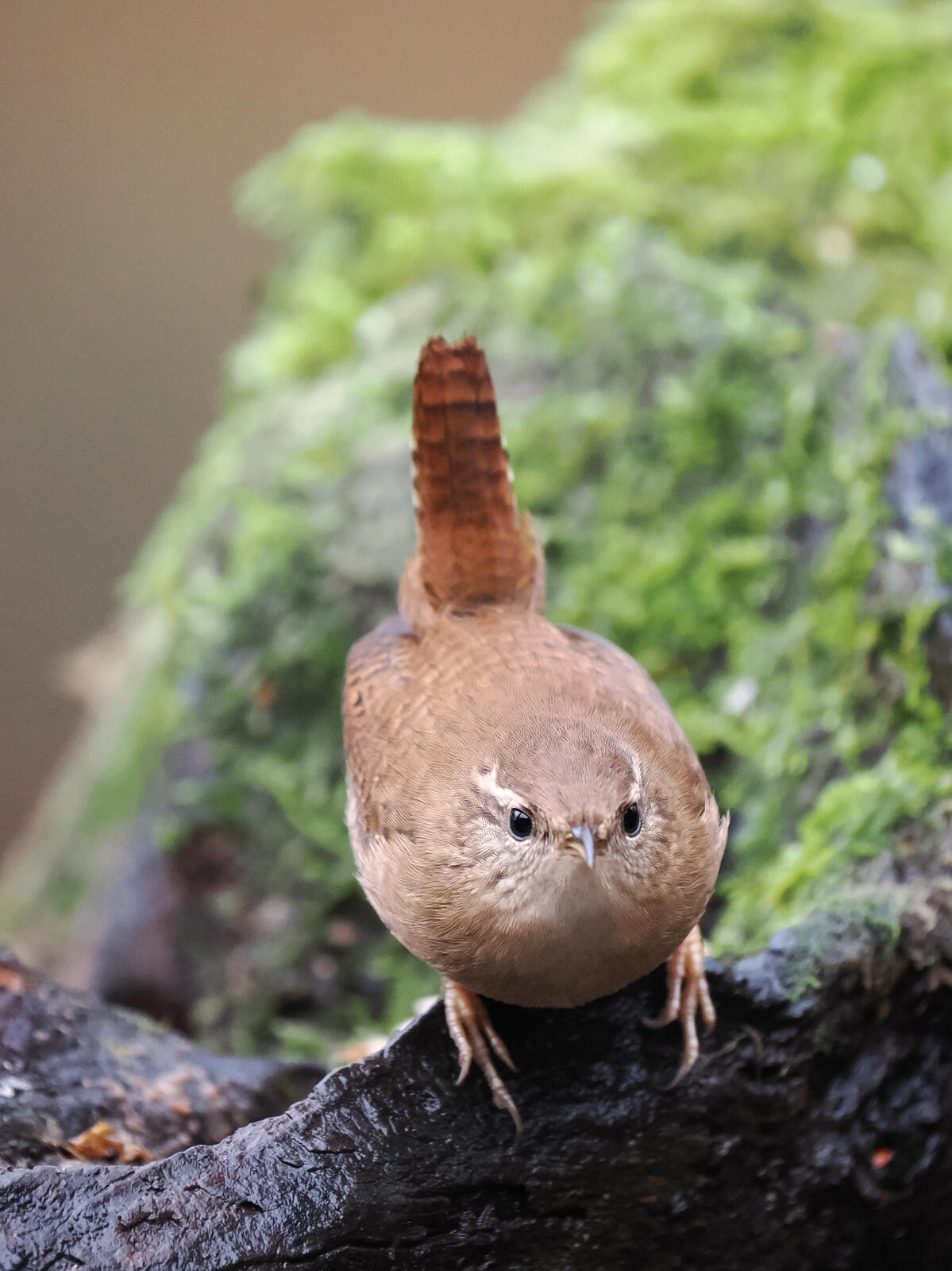 Click image for larger version

Name:	image.jpg
Views:	482
Size:	216.9 KB
ID:	925404