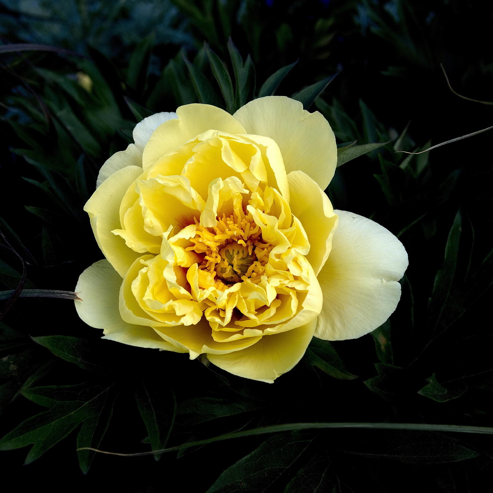 Click image for larger version

Name:	SB121936_resizeA.jpg
Views:	34
Size:	224.4 KB
ID:	926215