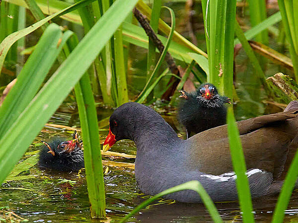 Click image for larger version

Name:	P5190065.jpg
Views:	341
Size:	91.3 KB
ID:	927101