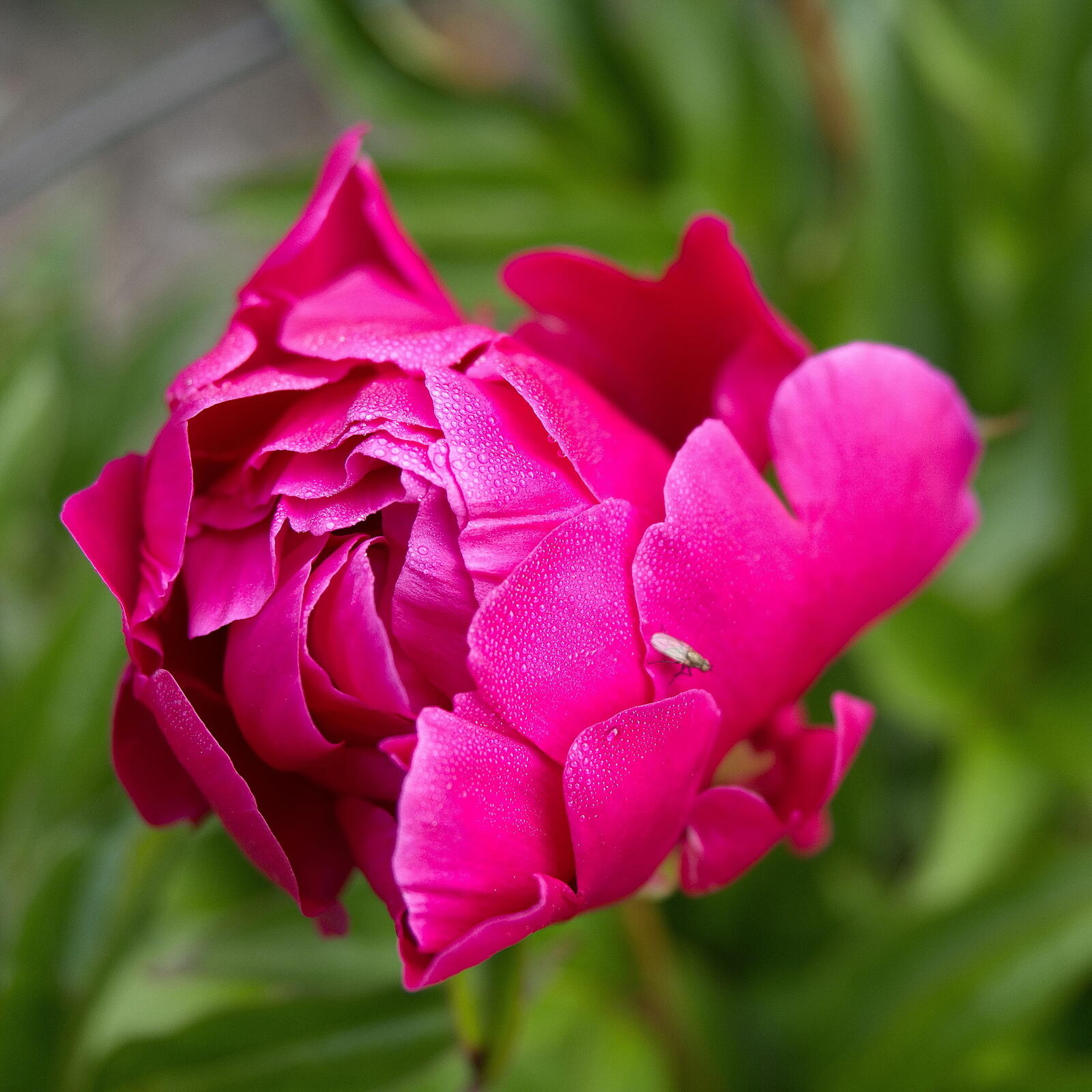 Click image for larger version

Name:	SB312682_resizeA.jpg
Views:	55
Size:	250.1 KB
ID:	928344