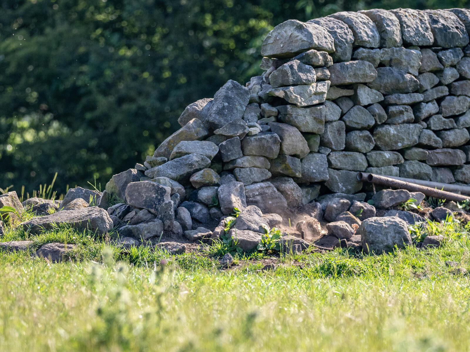 Click image for larger version

Name:	P6253684.jpg
Views:	95
Size:	489.9 KB
ID:	930992