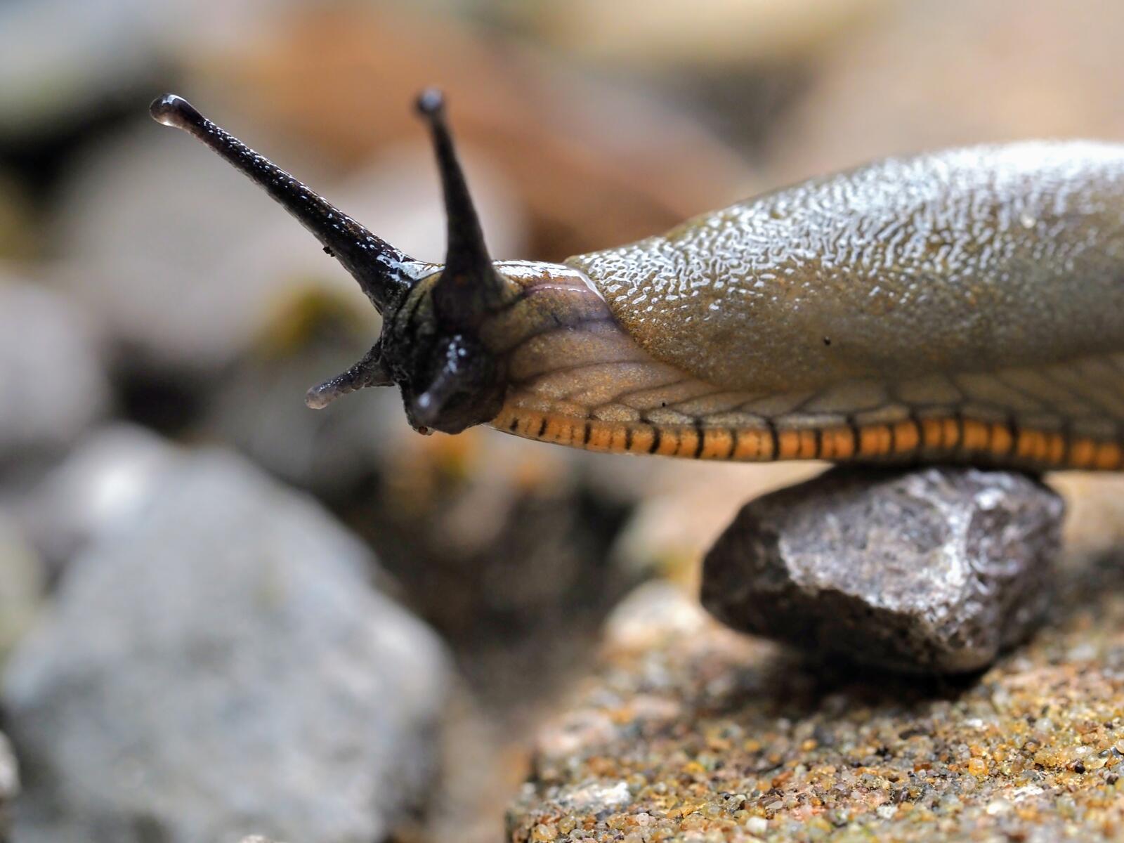 Click image for larger version

Name:	P7050059~2.jpg
Views:	543
Size:	164.3 KB
ID:	932033