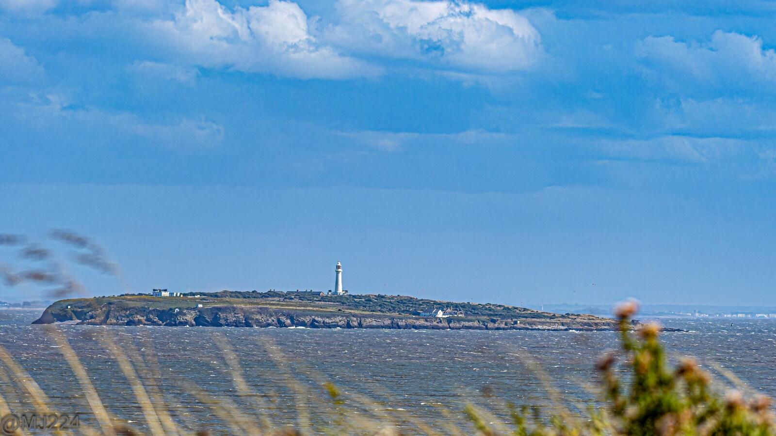 Click image for larger version

Name:	P7290005-ORF_DxO_DeepPRIME-Edit-2 (Large).jpg
Views:	421
Size:	180.3 KB
ID:	936766