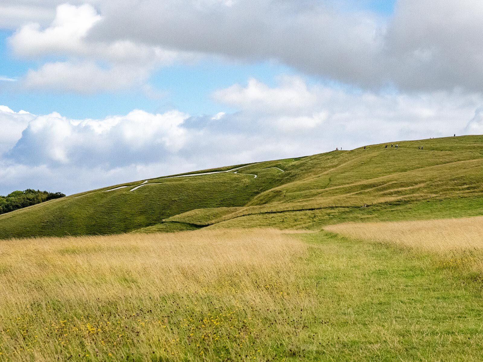 Click image for larger version  Name:	White-Horse-1.jpg Views:	0 Size:	531.5 KB ID:	939235