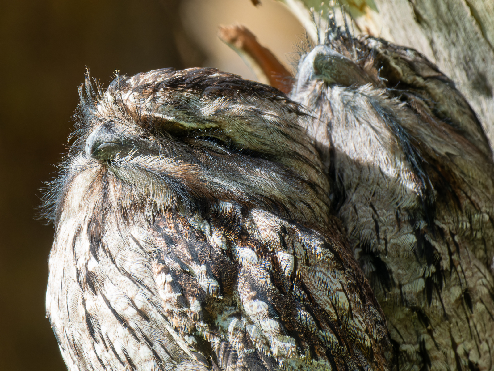 Click image for larger version

Name:	TF2-1.jpg
Views:	137
Size:	1.87 MB
ID:	940087