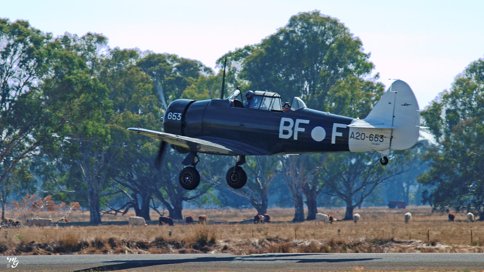 Click image for larger version  Name:	MG263705jpg.jpg Views:	0 Size:	281.1 KB ID:	941476