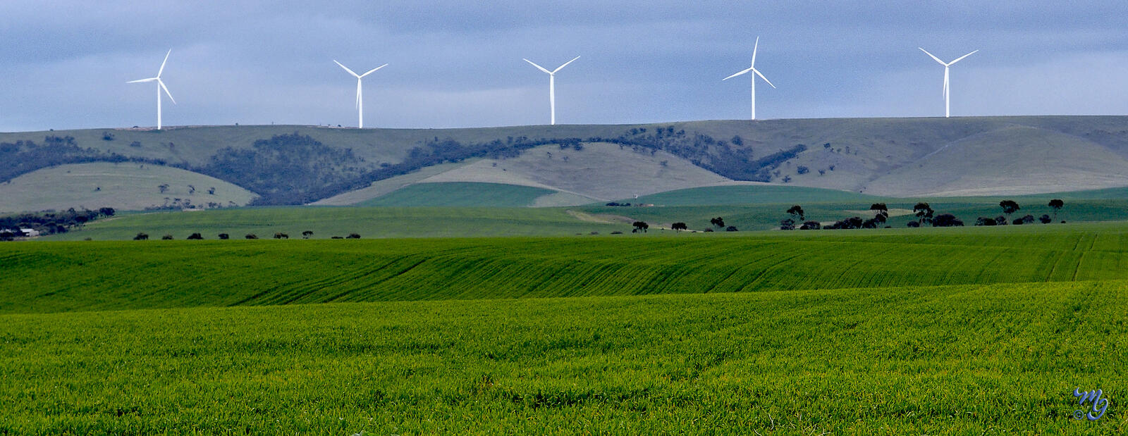 Click image for larger version

Name:	Green Energy.jpg
Views:	374
Size:	259.1 KB
ID:	941649