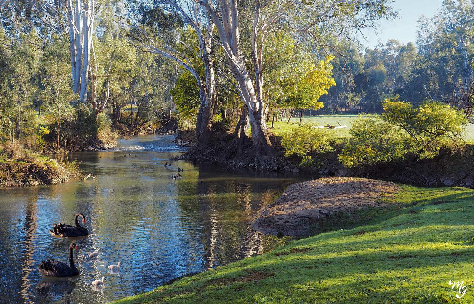 Click image for larger version

Name:	Spring Morning-2.jpg
Views:	316
Size:	612.4 KB
ID:	942039