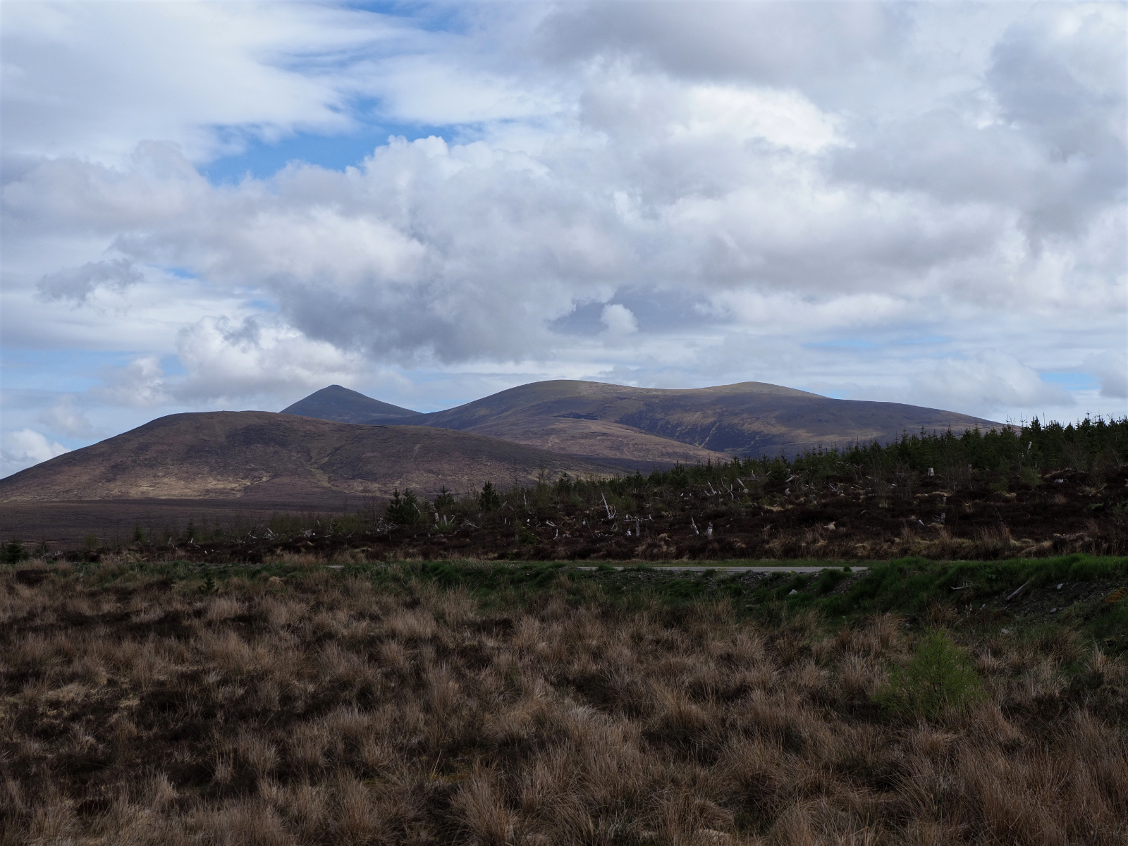 Click image for larger version

Name:	1MK21901.jpg
Views:	365
Size:	1.74 MB
ID:	942103