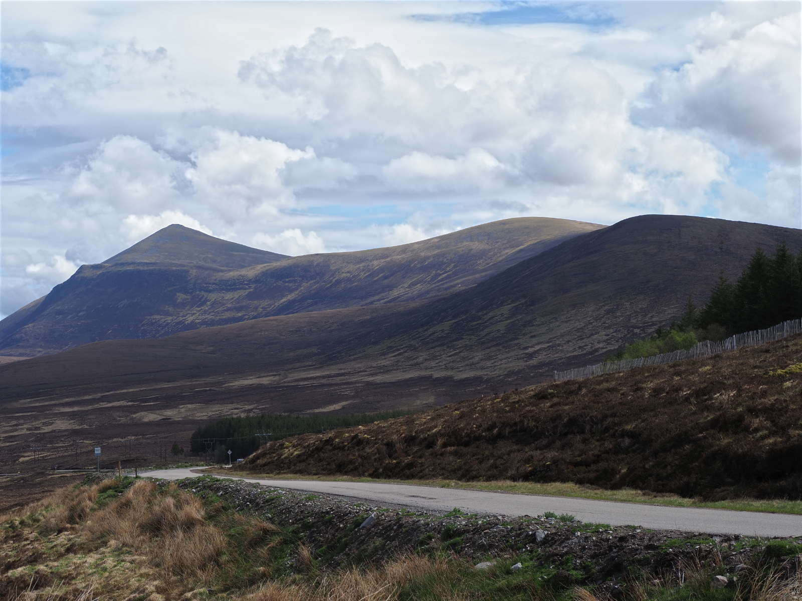 Click image for larger version

Name:	1MK21903.jpg
Views:	72
Size:	1.83 MB
ID:	942106