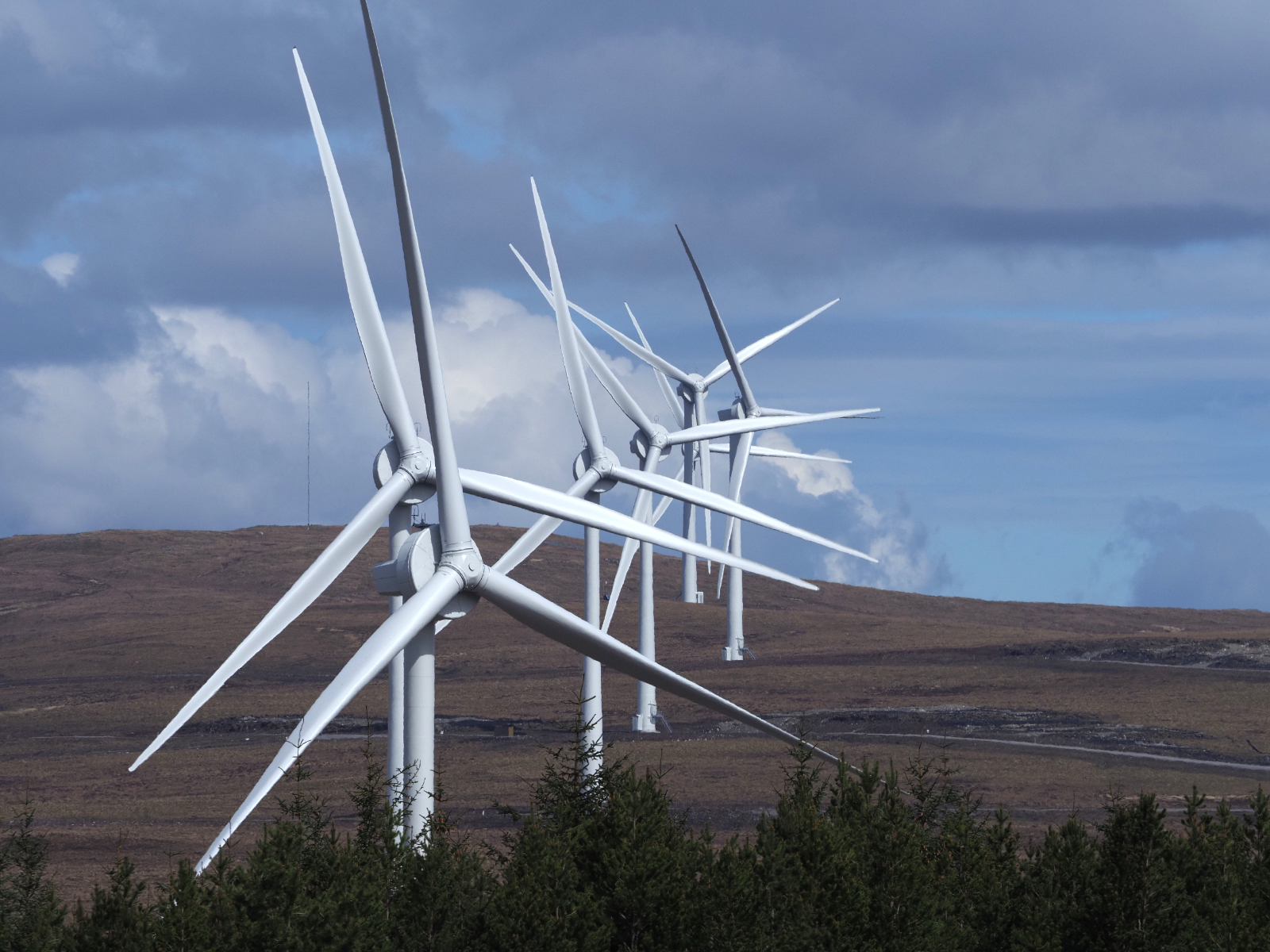 Click image for larger version

Name:	1MK21910.jpg
Views:	62
Size:	1.68 MB
ID:	942107