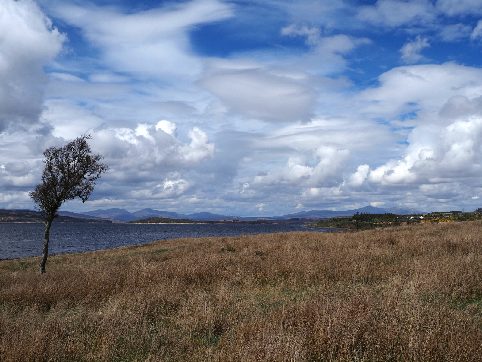 Click image for larger version

Name:	1MK21921.jpg
Views:	67
Size:	2.12 MB
ID:	942112