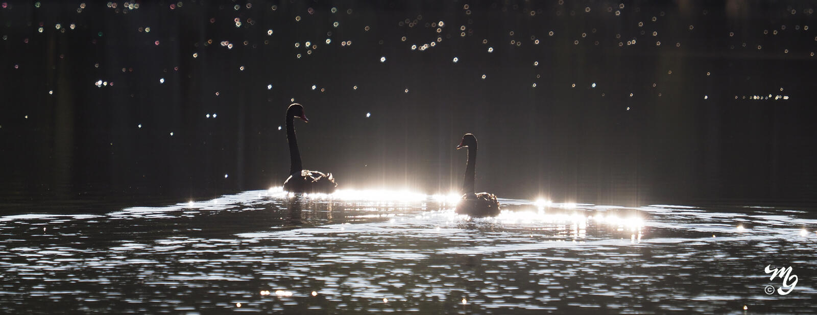 Click image for larger version  Name:	Pas de Deux-2.jpg Views:	0 Size:	140.7 KB ID:	942625