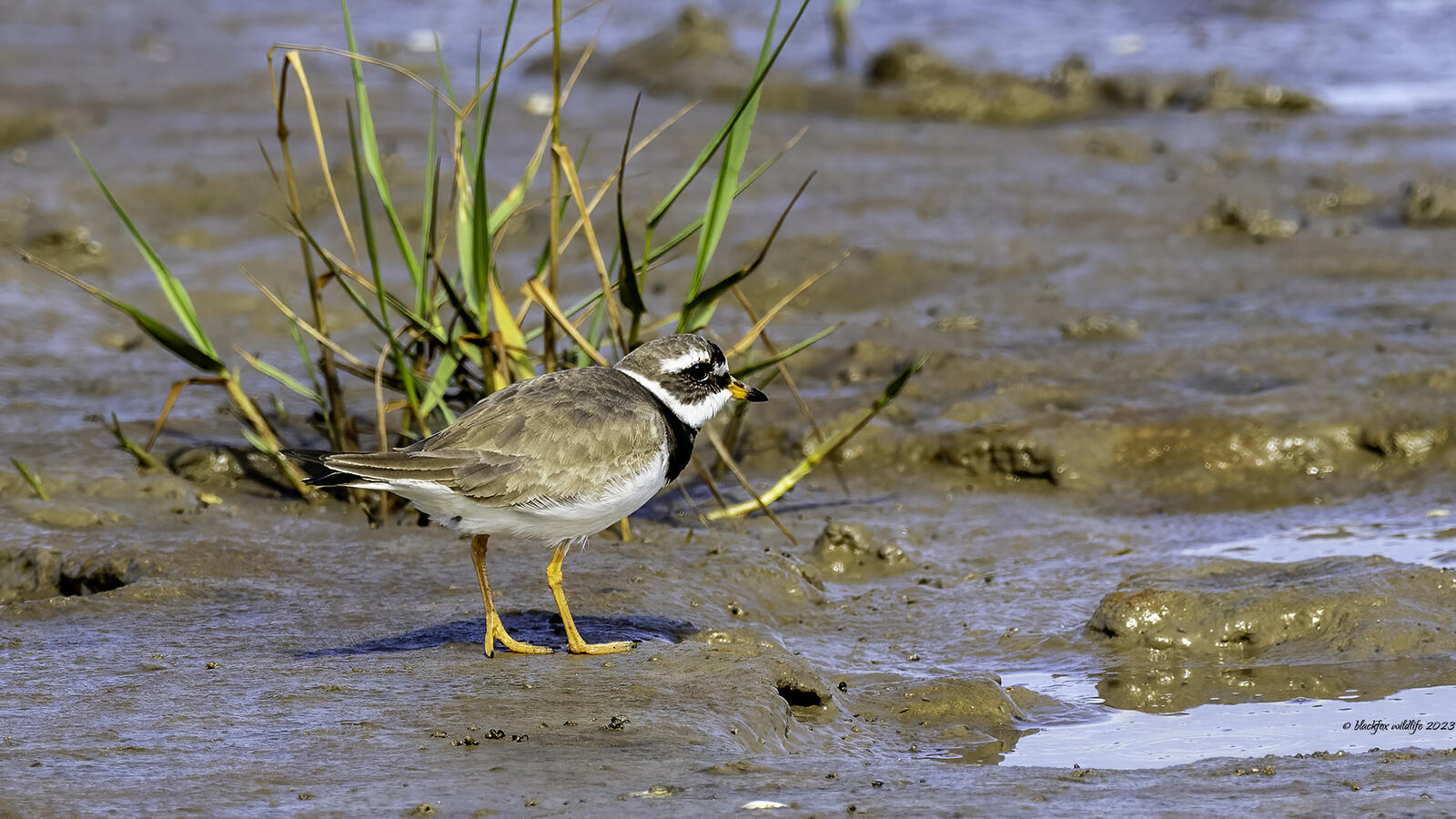 Click image for larger version

Name:	think it over .jpg
Views:	479
Size:	268.6 KB
ID:	944065