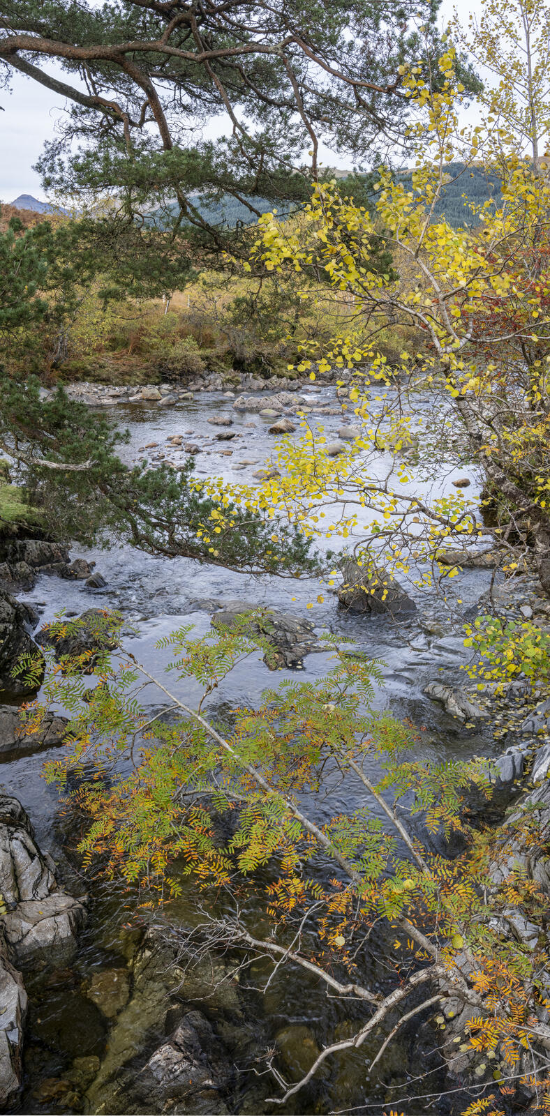Click image for larger version

Name:	_A170210-Pano-2.jpg
Views:	120
Size:	542.7 KB
ID:	947503