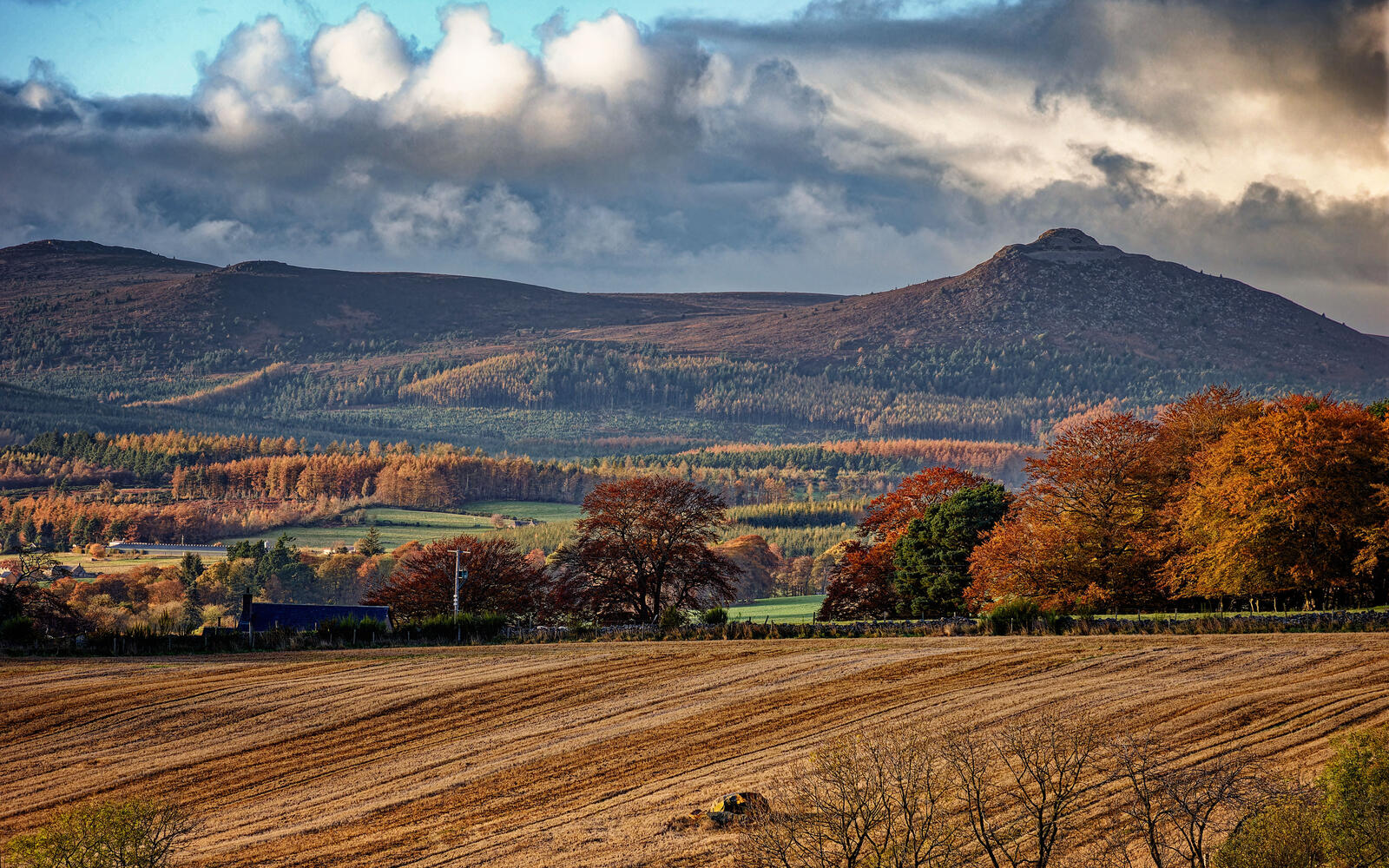 Click image for larger version

Name:	20231031_176_Nik.jpg
Views:	77
Size:	492.6 KB
ID:	948903