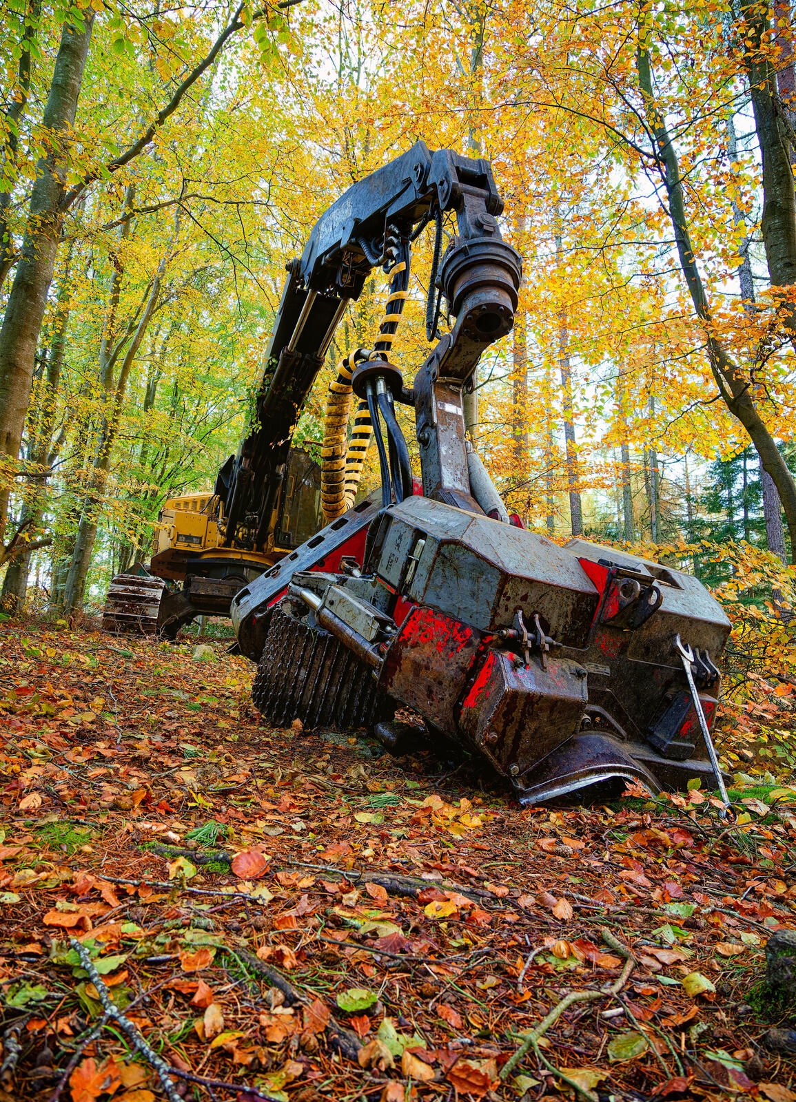 Click image for larger version

Name:	20231031_210_Nik_comp.jpg
Views:	73
Size:	962.7 KB
ID:	948905