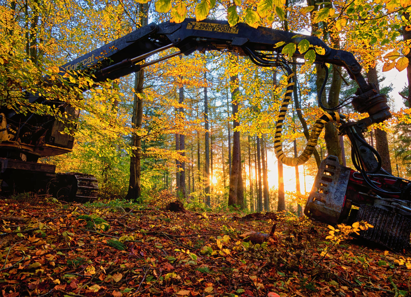 Click image for larger version

Name:	20231031_216_Nik_comp.jpg
Views:	78
Size:	778.5 KB
ID:	948906