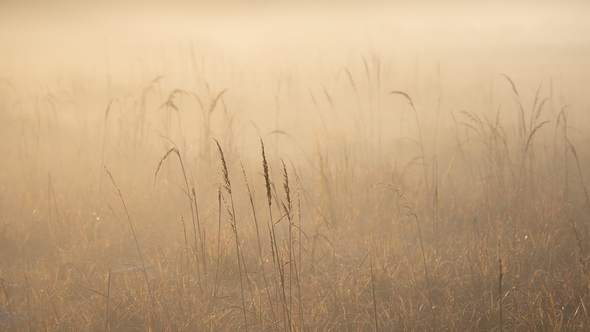 Click image for larger version

Name:	_B051367.jpg
Views:	147
Size:	288.3 KB
ID:	949320