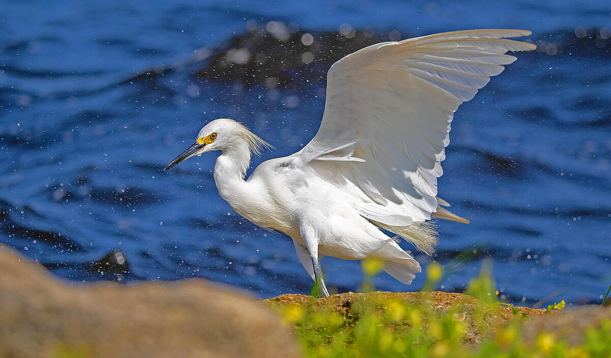 Click image for larger version

Name:	PA022455bb.jpg
Views:	54
Size:	202.3 KB
ID:	952539